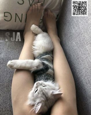 白蛇3·浮生_国产剧全集在线观看